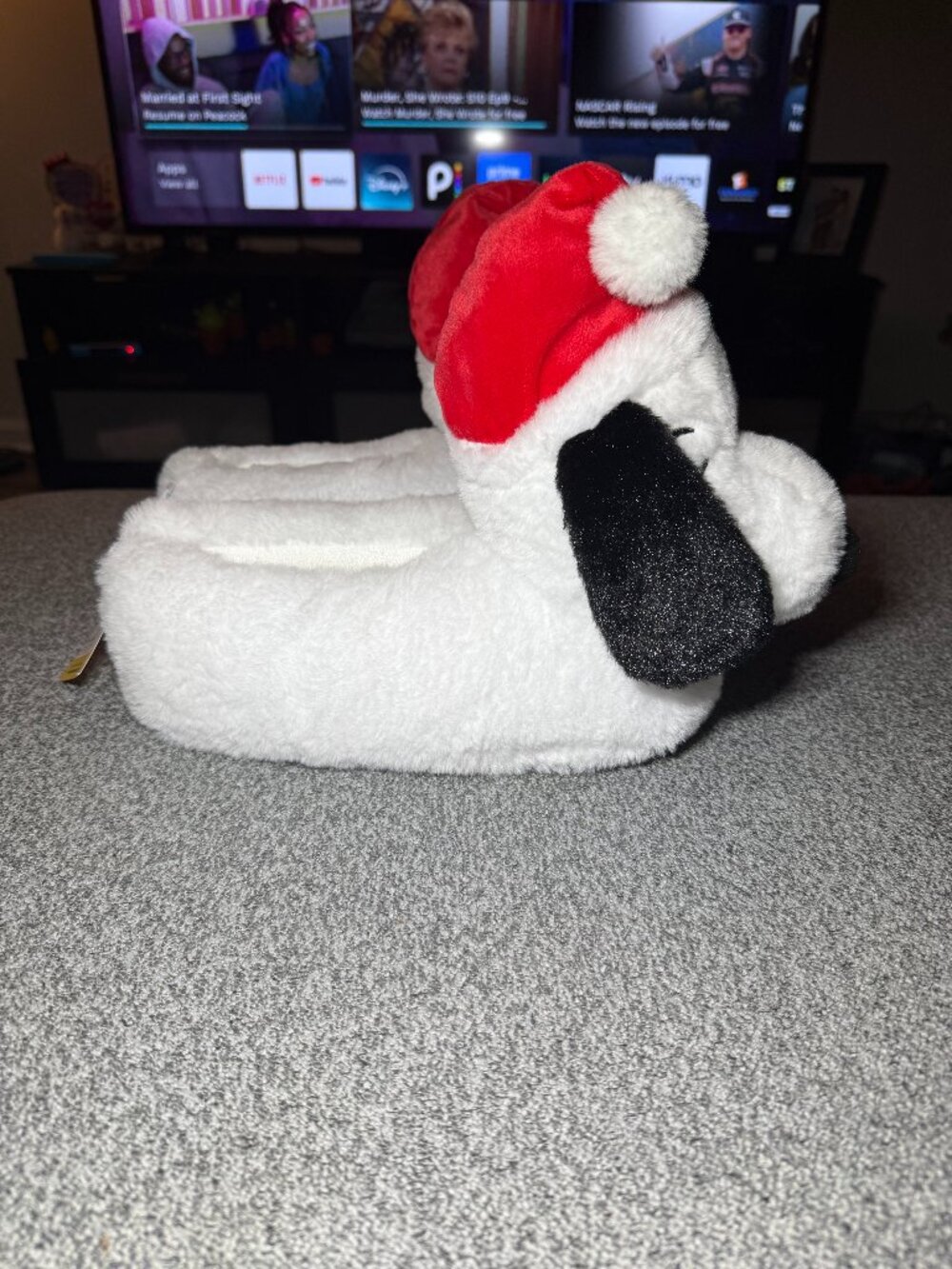 Snoopy Slippers
